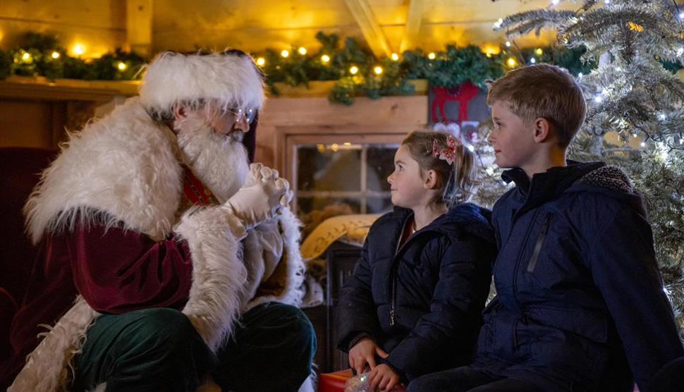 Magical Christmas Adventure